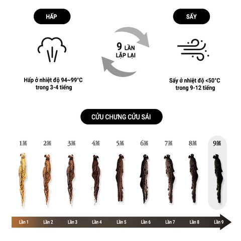 [Donguisam] Cao Hắc Sâm Hoa Chuông Đen Cửu Chưng Cửu Sái