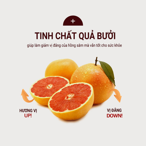 [Donguisam] Tinh Chất Hồng Sâm Tiến Vua 6 Năm Vip Cao Cấp Hàn Quốc