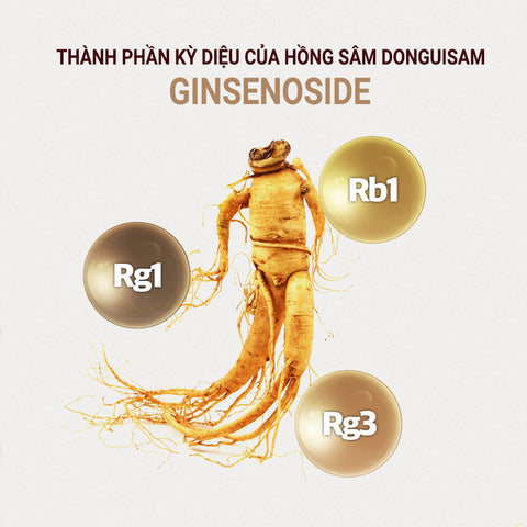 [Donguisam] Cao Đông Y Hồng Sâm Nhung Hươu Trầm Hương - 30 Gói